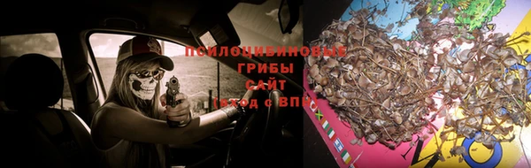 круглые Коряжма