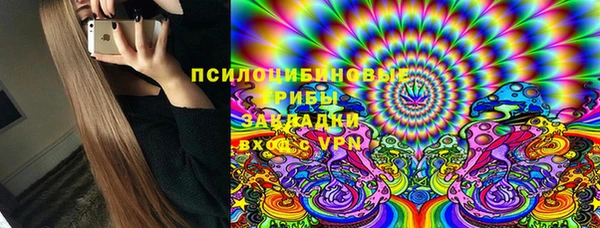 спайс Ладушкин