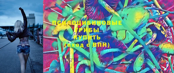 СК Красноперекопск