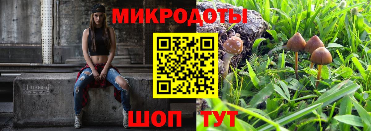 Псилоцибиновые грибы мухоморы  Куйбышев  Псилоцибиновые грибы Psilocybe 