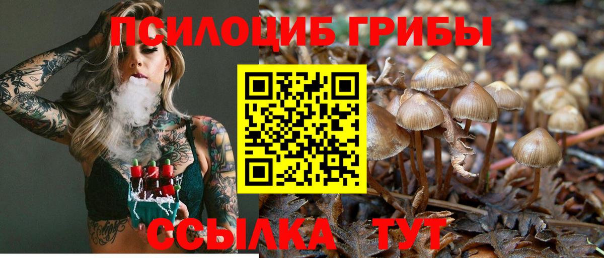 Куйбышев  наркота  Вход с VPN  Псилоцибиновые грибы Magic Shrooms  Псилоцибиновые грибы MAGIC MUSHROOMS 